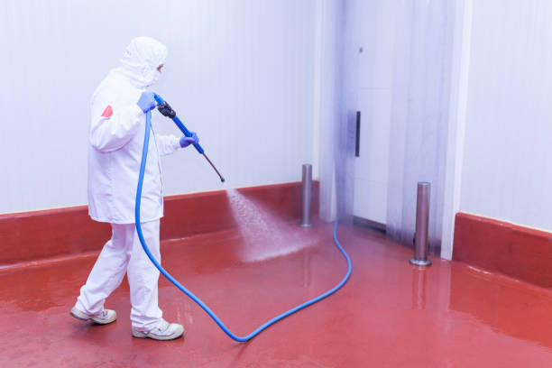 Best Warehouse Floor Cleaning in Second Mesa, AZ